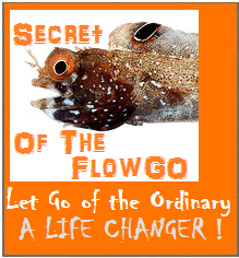 flowgofish